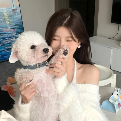 贺总的私宠罪妻